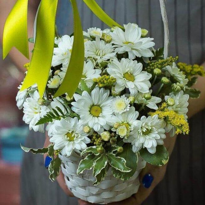 Сад эльфов от 3 580 руб.