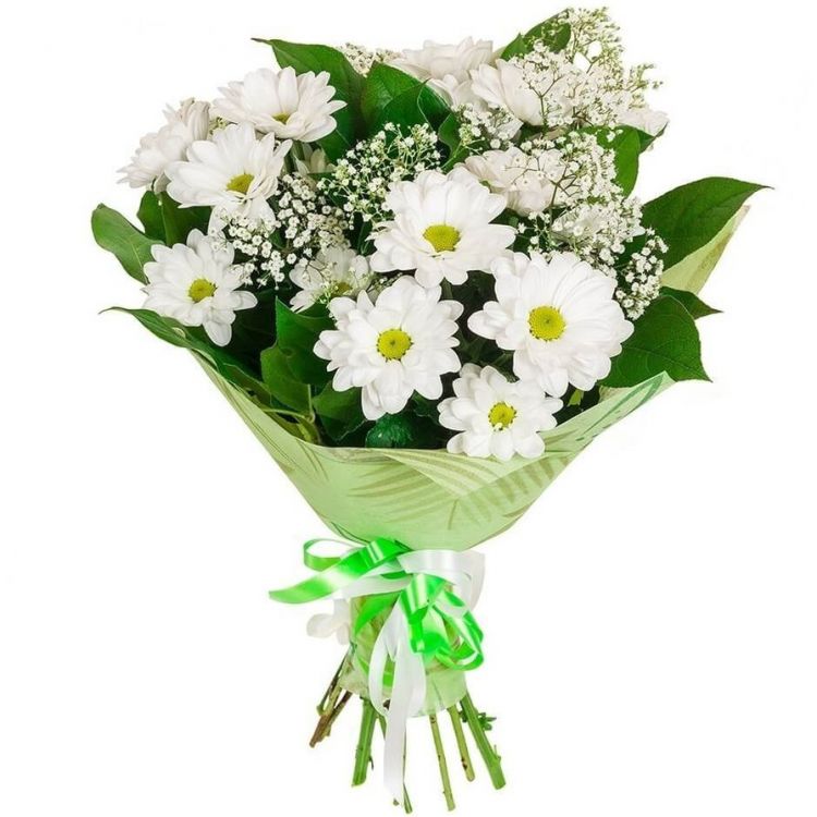 Белый павлин от 3 350 руб.