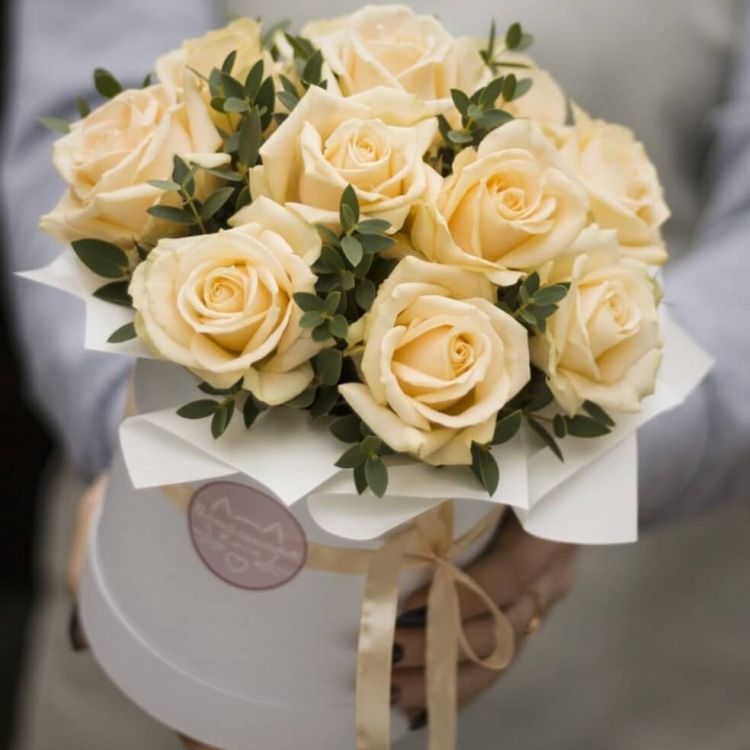 На вкус и цвет от 4 990 руб.