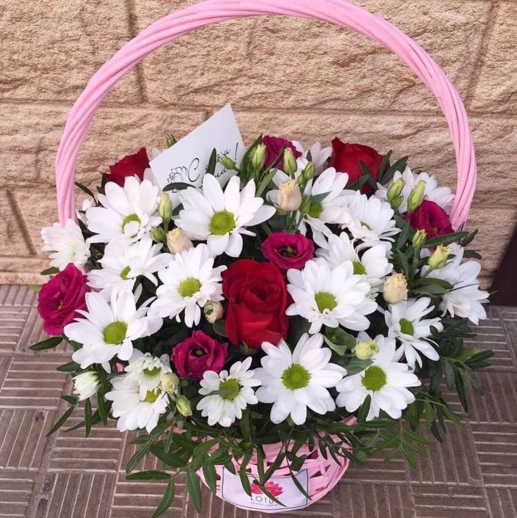 Сплошной позитив от 5 580 руб.