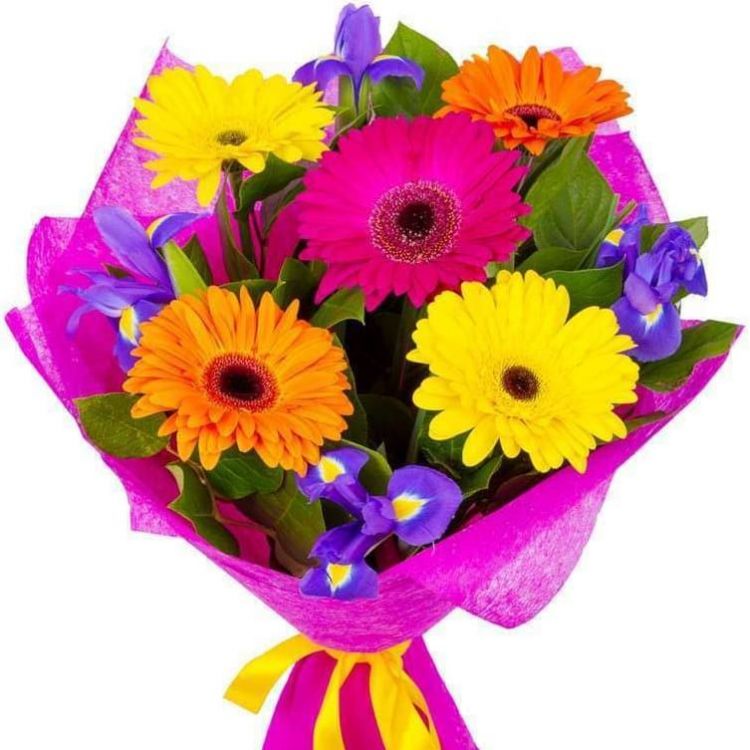 Яркая идея от 2 540 руб.