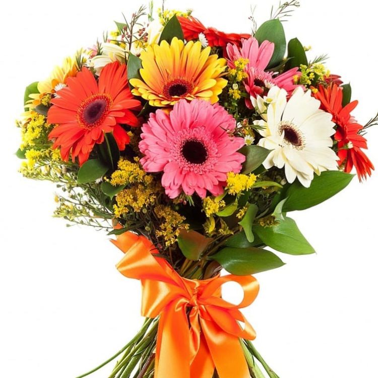 Хохотушка от 3 500 руб.