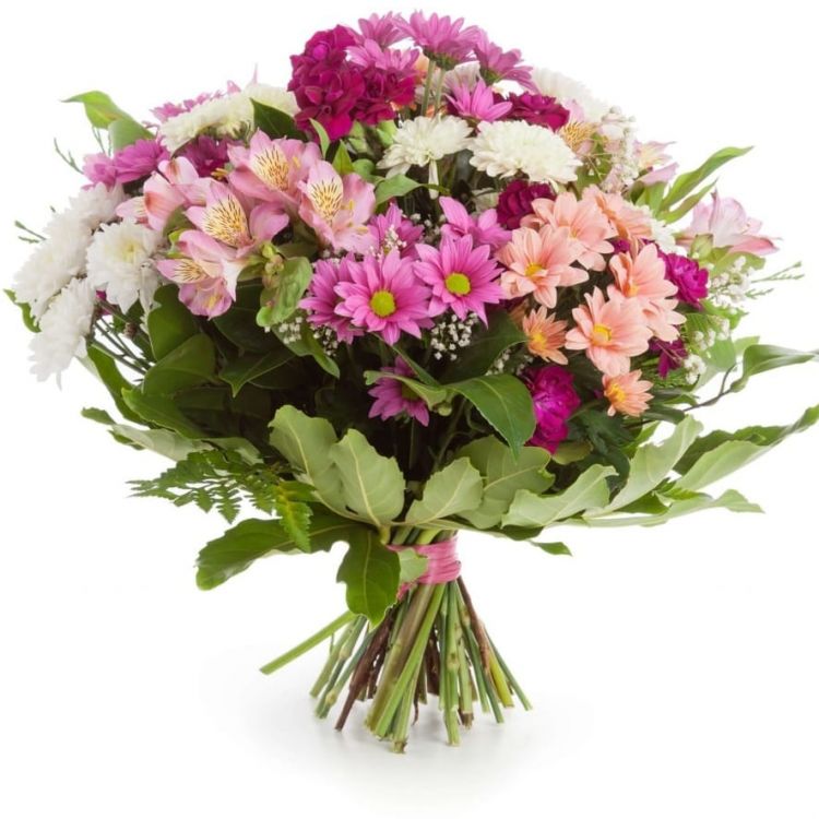 Потрясающая красота от 3 240 руб.