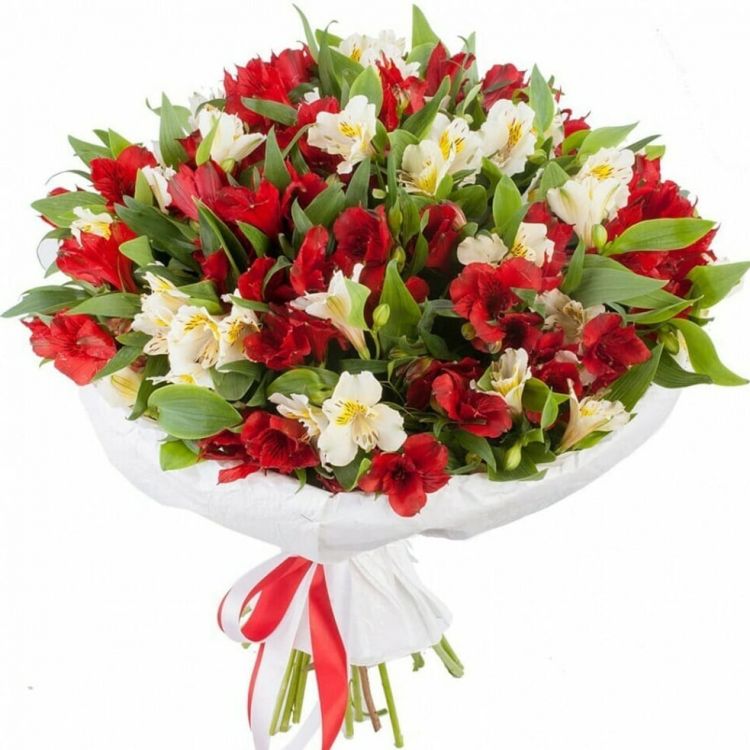 Капризная штучка от 4 950 руб.