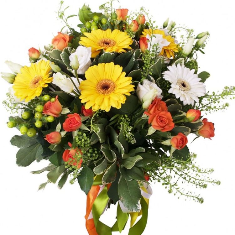 Луговой красавец от 5 000 руб.