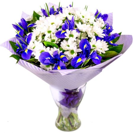 Звезды до рассвета