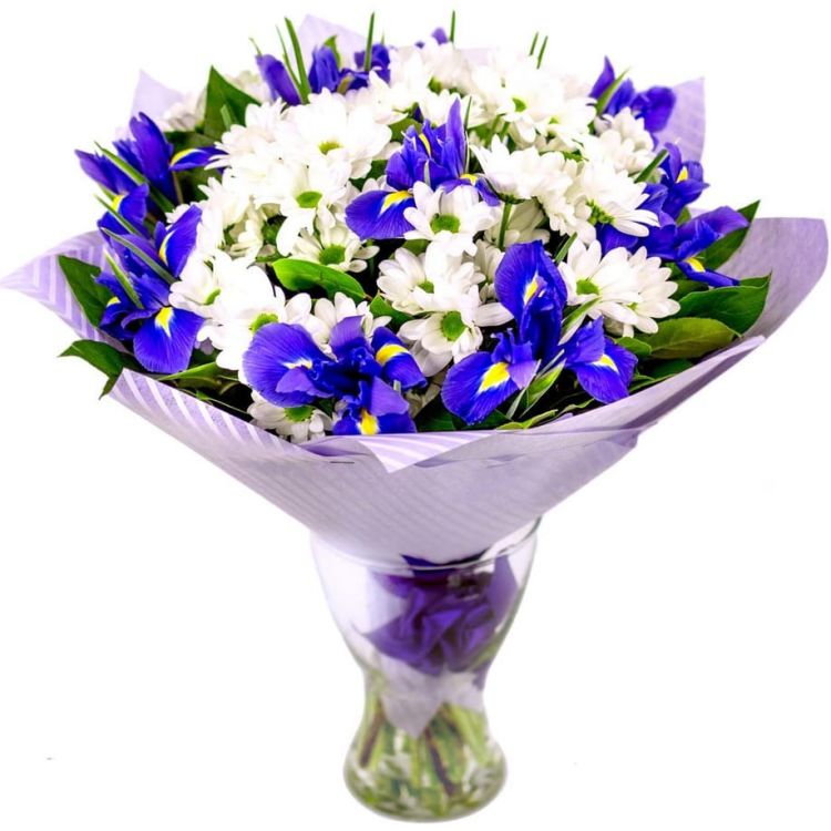 Звезды до рассвета от 4 810 руб.