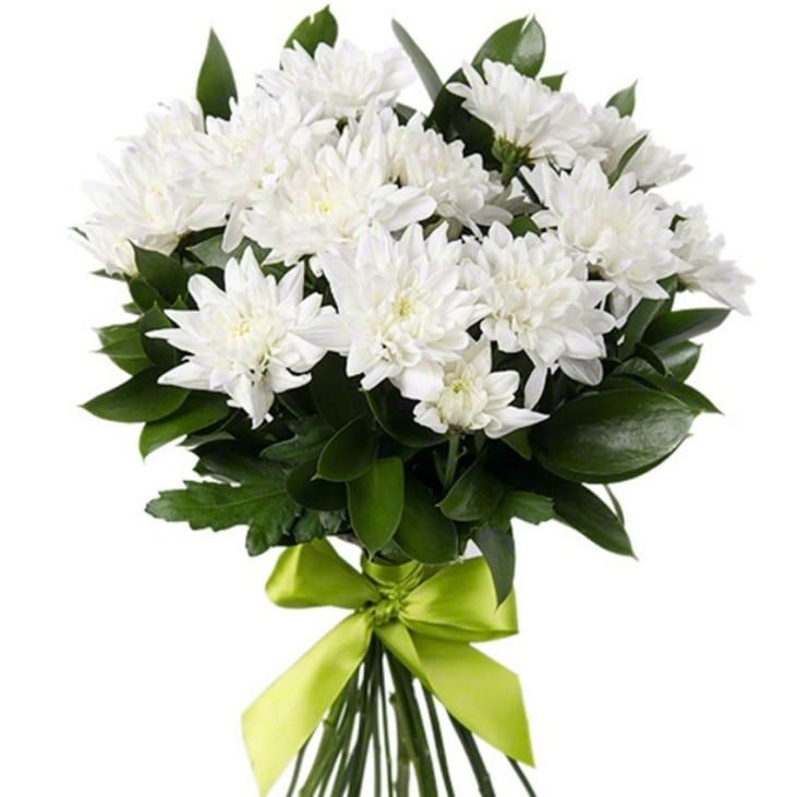 Первая улыбка от 3 090 руб.