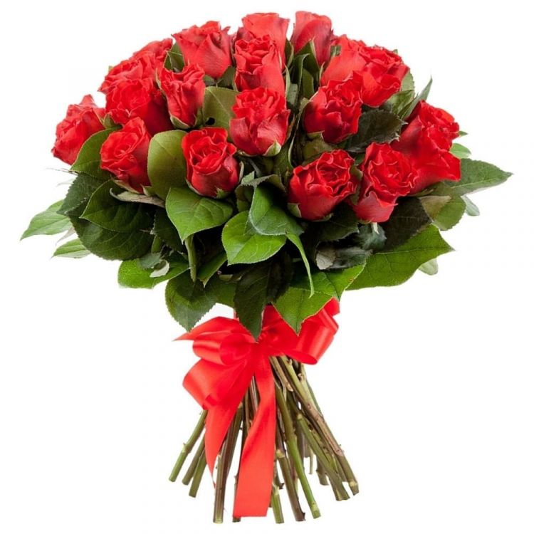 Неукротимая энергия от 3 320 руб.