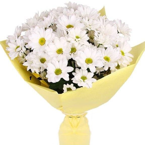 Апрельское солнце от 2 740 руб.