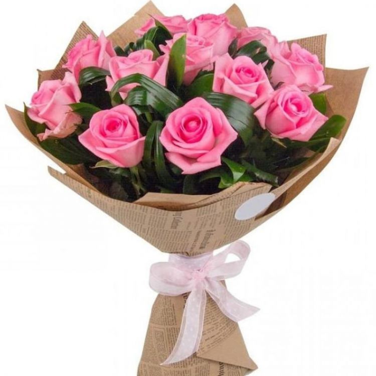 Робкая надежда от 3 300 руб.