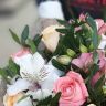Жизненные силы природы от 4 690 руб.