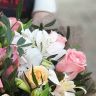 Жизненные силы природы от 4 690 руб.