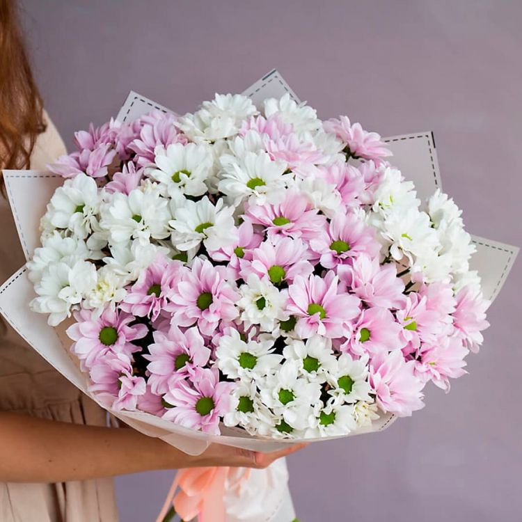 Находка от 4 690 руб.