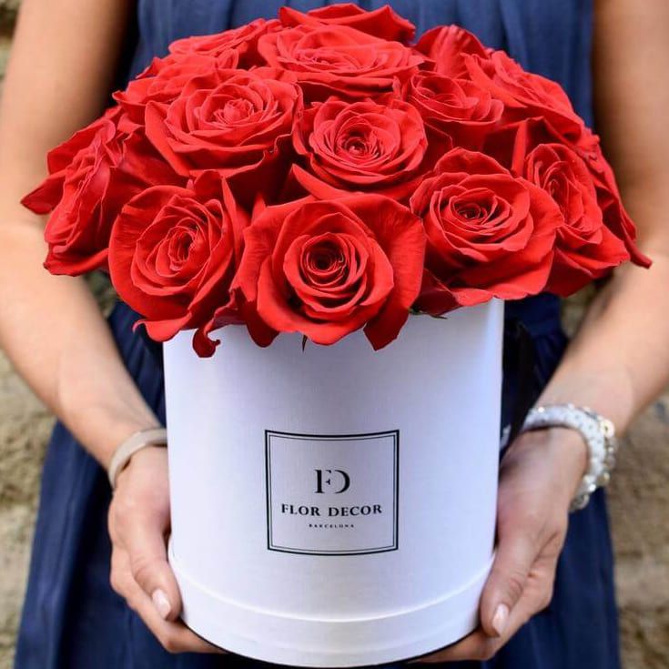 Летняя любовь от 6 280 руб.