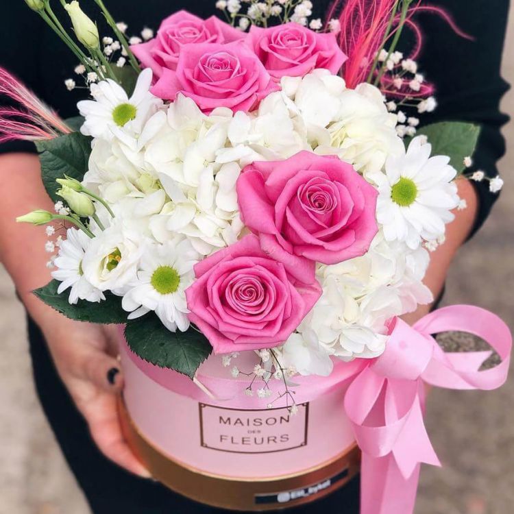 Навстречу ветру от 5 450 руб.